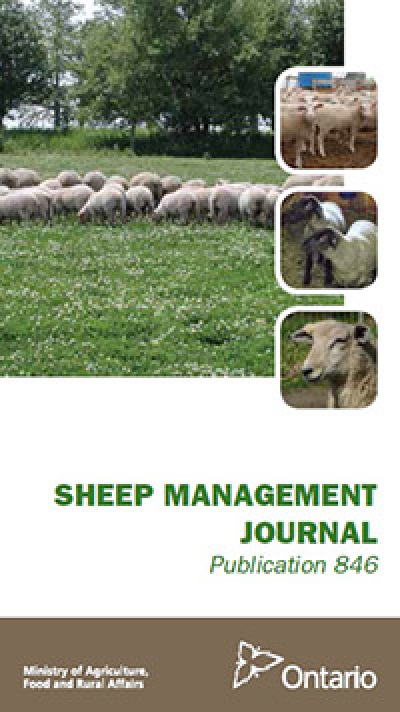 Image of the cover of publication titled  Publication 846: Sheep Management Journal