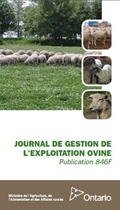 Image of the cover of publication titled  Publication 846: Journal de gestion de l