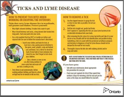 TICKS and LYME DISEASE – Publications Ontario