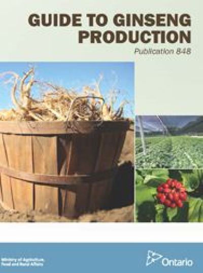 Image de la couverture de la publication intitulée Guide to Ginseng Production - Publication 848