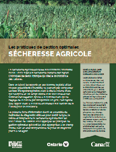 Image of the cover of publication titled Les pratiques de gestion optimales: Sécheresse agricole (Ressorce en ligne)